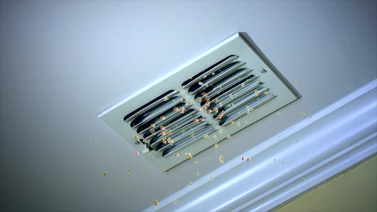 Best Air Duct Cleaning Near Me in Northwest Harborcreek, PA