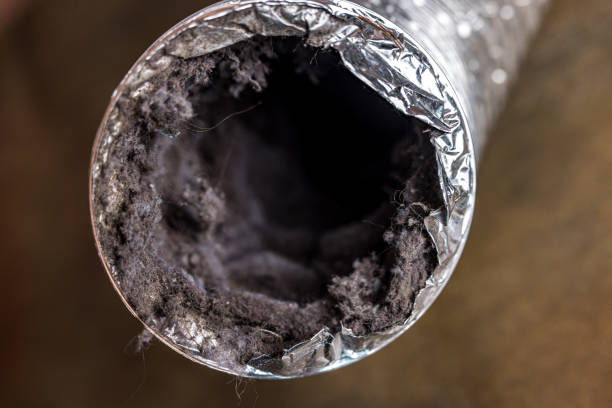 Best HVAC Air Duct Cleaning  in Northwest Harborcreek, PA